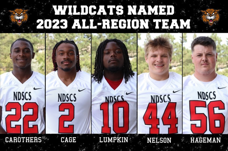 2023 All-Region Wildcats